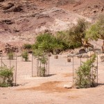 Dezentrales Abwassermanagement zur Anpassung an den Klimawandel in Jordanien